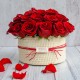 TOQUILLA SOLO ROSAS