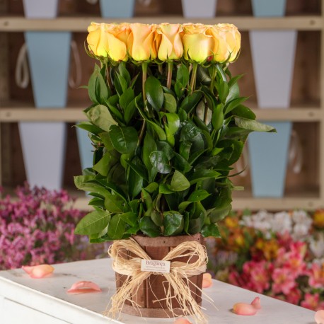Amares en Madera Primavera
