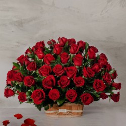 Amares abierto x 150 rosas