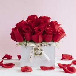 VALENTIN SOLO ROSAS MEDIANO