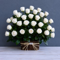 50 rosas condolencias