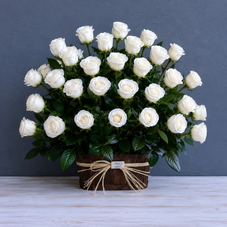 50 rosas condolencias