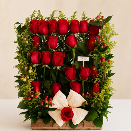 Jardín de Rosas