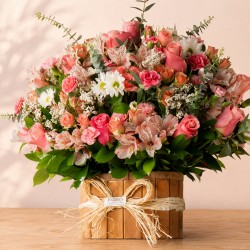 ENTREFLORES