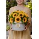 Valentin Girasol Grande