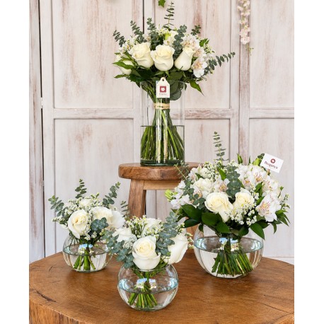 Brindis – Conjunto Floral