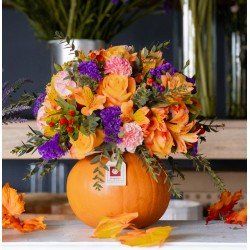 CALABAZA HALLOWEEN