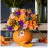 CALABAZA HALLOWEEN