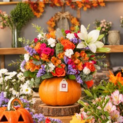 CALABAZA FLORAL
