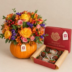 CALABAZA HALLOWEEN