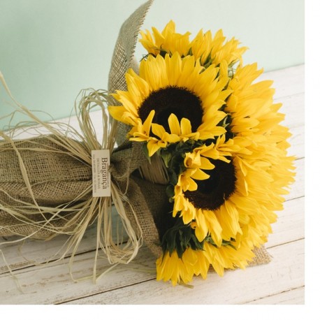 Girasoles en cinta