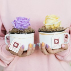 Taza Eterna