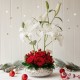 Lilium con rosa