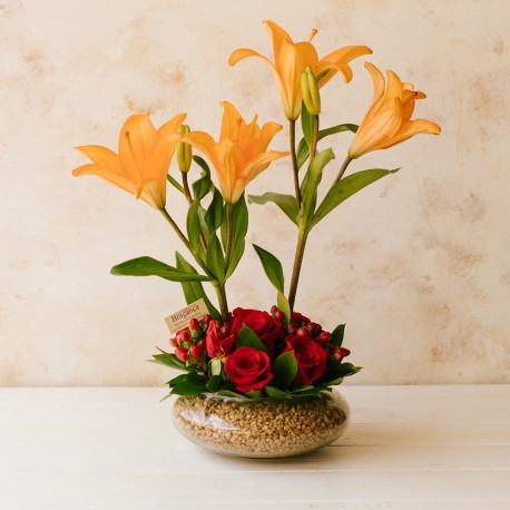 Lilium con rosa