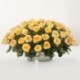 AMARES DE 100 ROSAS