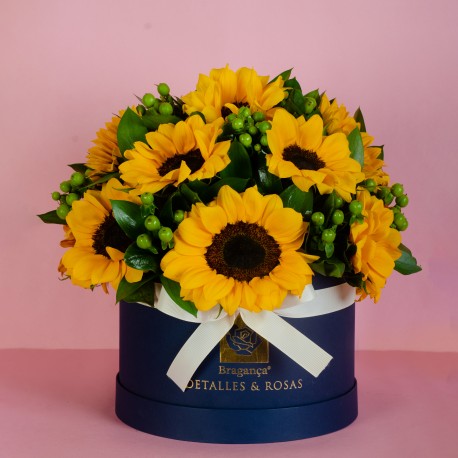 Valentin Girasol Grande