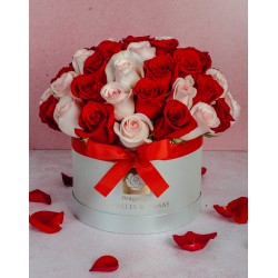 Valentín Solo Rosas Grande