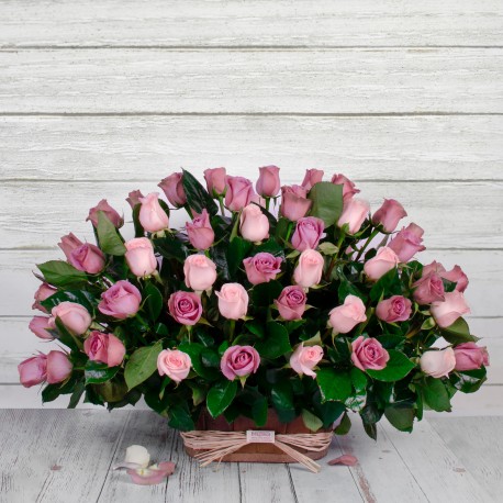 AMARES DE 100 ROSAS