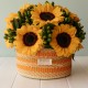 CANASTO TOQUILLA GIRASOL