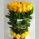 Para ti - Primavera