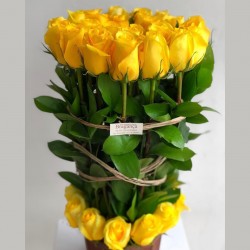 Para ti - Primavera